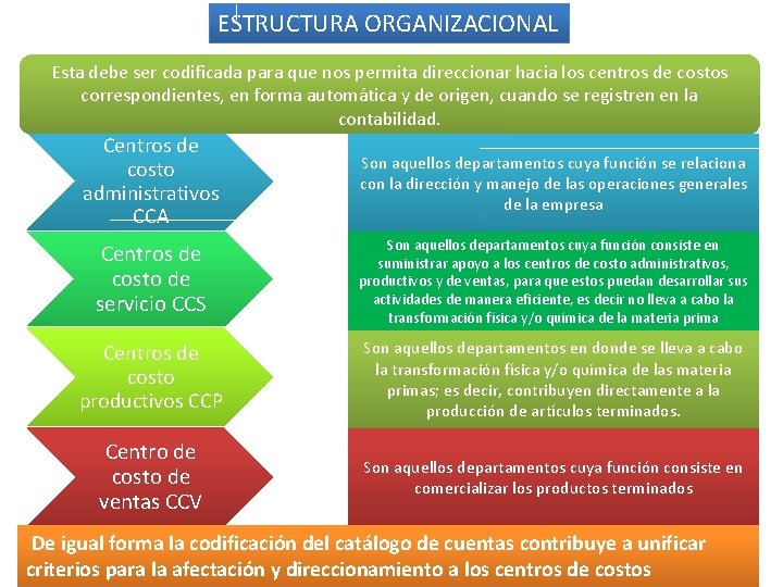 ESTRUCTURA ORGANIZACIONAL Esta debe ser codificada para que nos permita direccionar hacia los centros