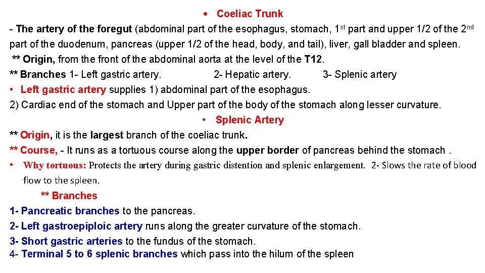  Coeliac Trunk - The artery of the foregut (abdominal part of the esophagus,