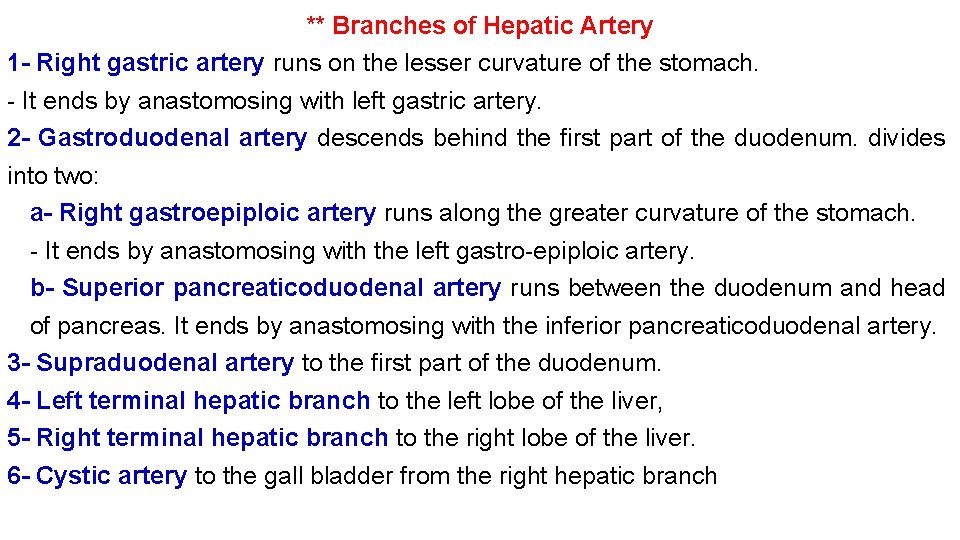 ** Branches of Hepatic Artery 1 - Right gastric artery runs on the lesser