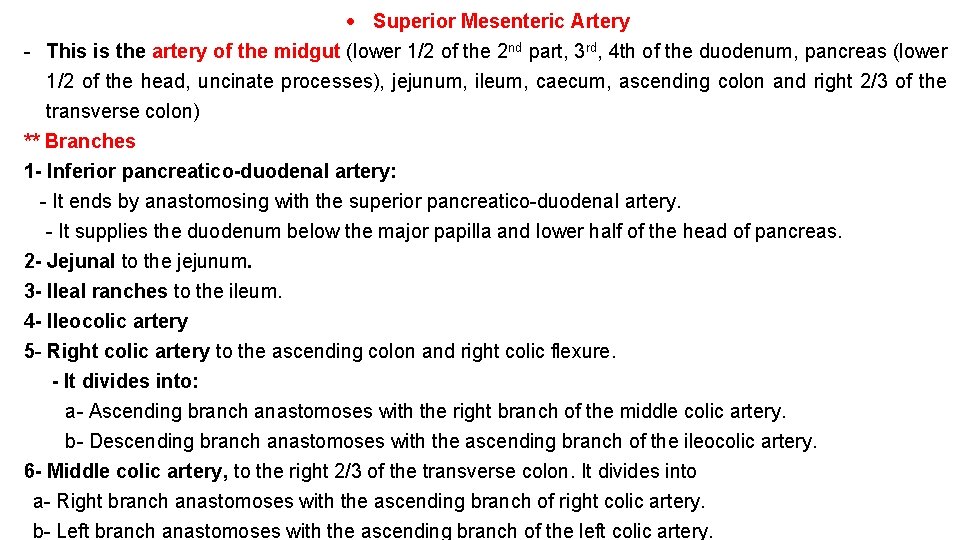 Superior Mesenteric Artery - This is the artery of the midgut (lower 1/2