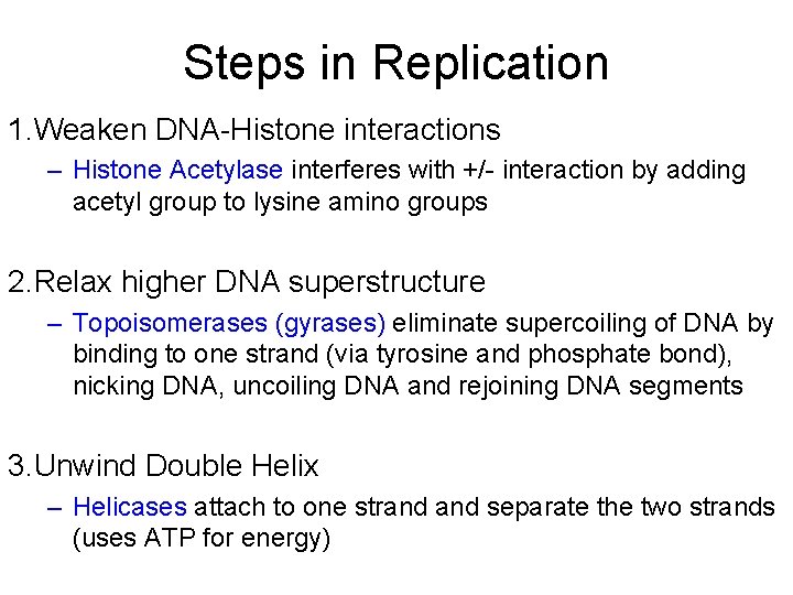 Steps in Replication 1. Weaken DNA-Histone interactions – Histone Acetylase interferes with +/- interaction