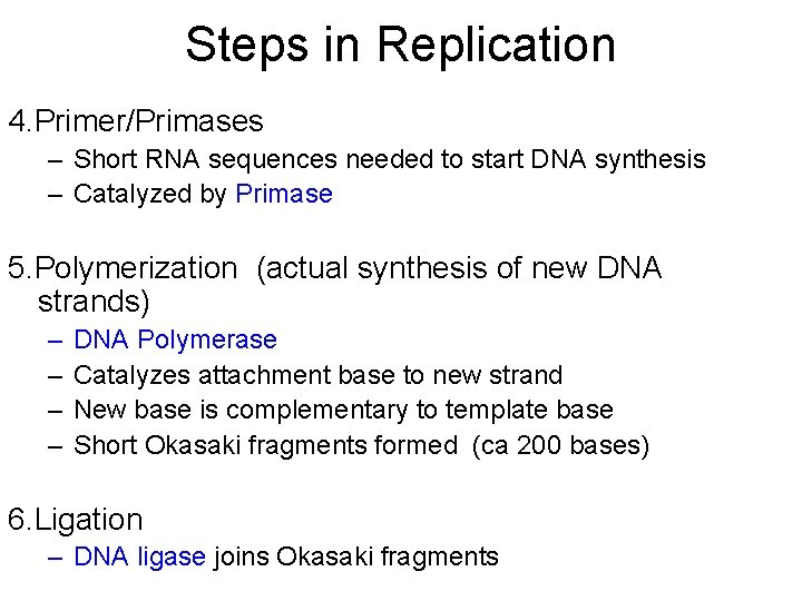 Steps in Replication 4. Primer/Primases – Short RNA sequences needed to start DNA synthesis