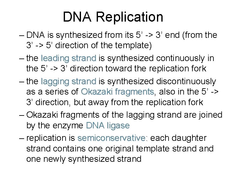 DNA Replication – DNA is synthesized from its 5’ -> 3’ end (from the