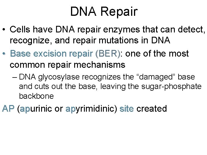 DNA Repair • Cells have DNA repair enzymes that can detect, recognize, and repair