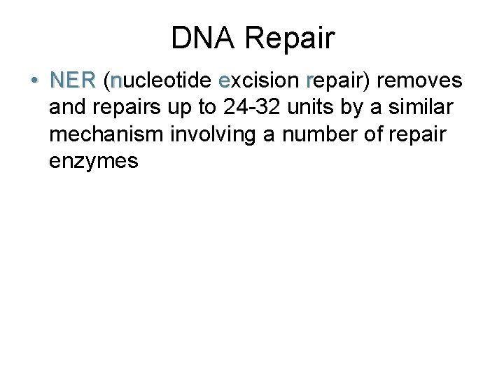 DNA Repair • NER (nucleotide excision repair) removes and repairs up to 24 -32