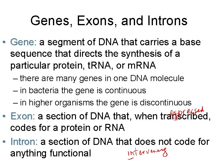 Genes, Exons, and Introns • Gene: a segment of DNA that carries a base