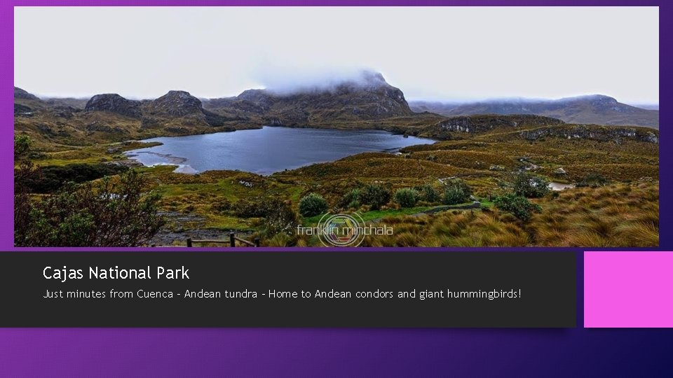 Cajas National Park Just minutes from Cuenca – Andean tundra – Home to Andean