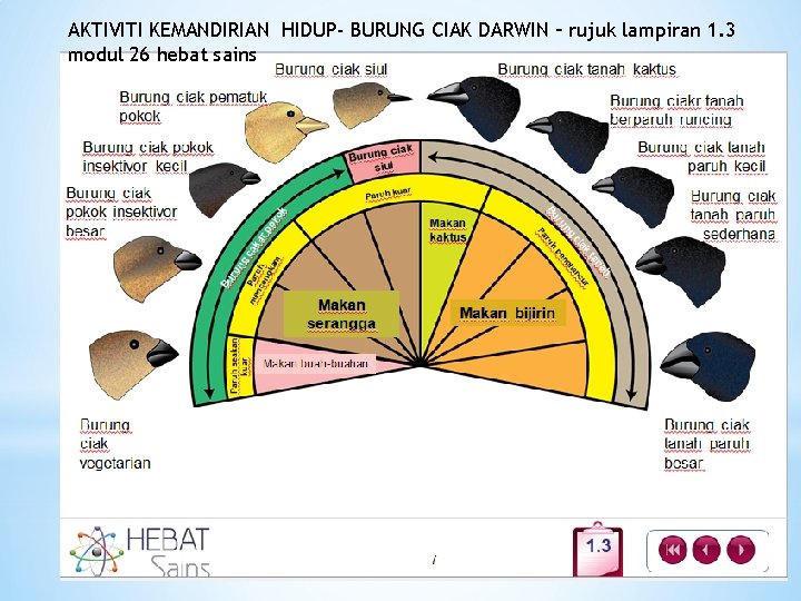 AKTIVITI KEMANDIRIAN HIDUP- BURUNG CIAK DARWIN – rujuk lampiran 1. 3 modul 26 hebat