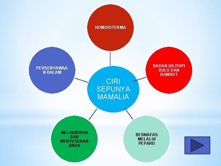 HOMOIOTERMA BADAN DILITUPI BULU DAN RAMBUT PERSENYAWAA N DALAM CIRI SEPUNYA MAMALIA MELAHIRKAN DAN