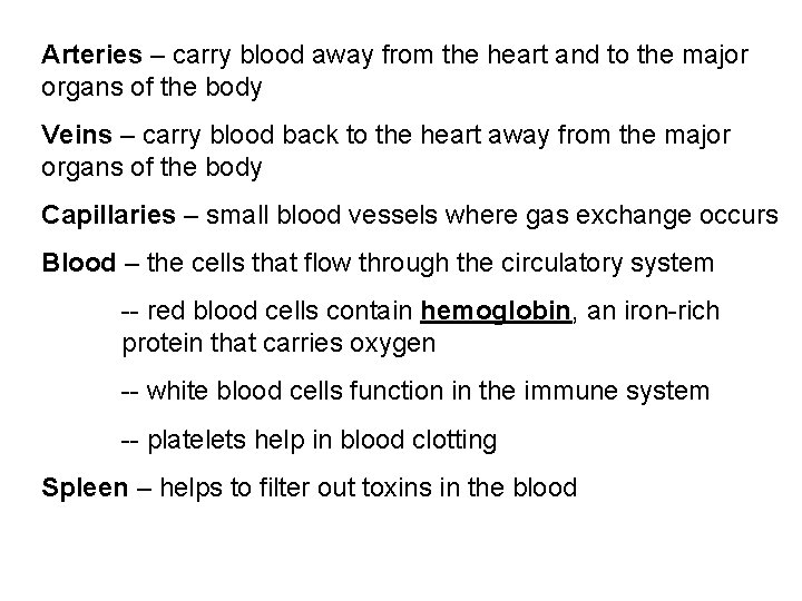 Arteries – carry blood away from the heart and to the major organs of