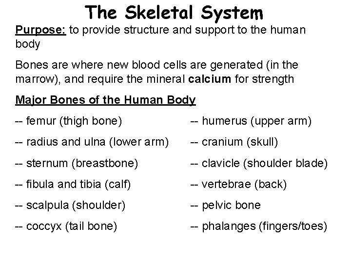 The Skeletal System Purpose: to provide structure and support to the human body Bones