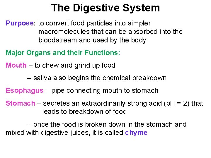 The Digestive System Purpose: to convert food particles into simpler macromolecules that can be