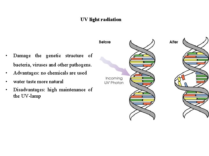 UV light radiation • Damage the genetic structure of bacteria, viruses and other pathogens.