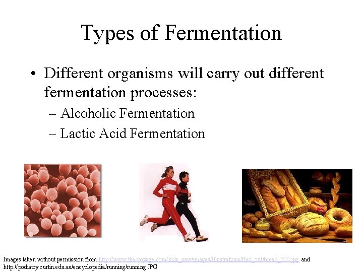 Fermentation and Control of Cellular Respiration AP Biology