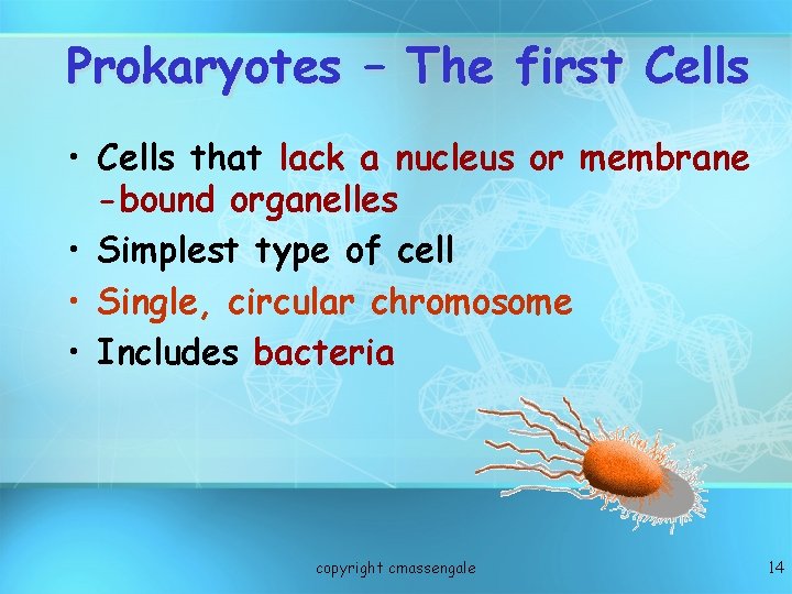 Prokaryotes – The first Cells • Cells that lack a nucleus or membrane -bound
