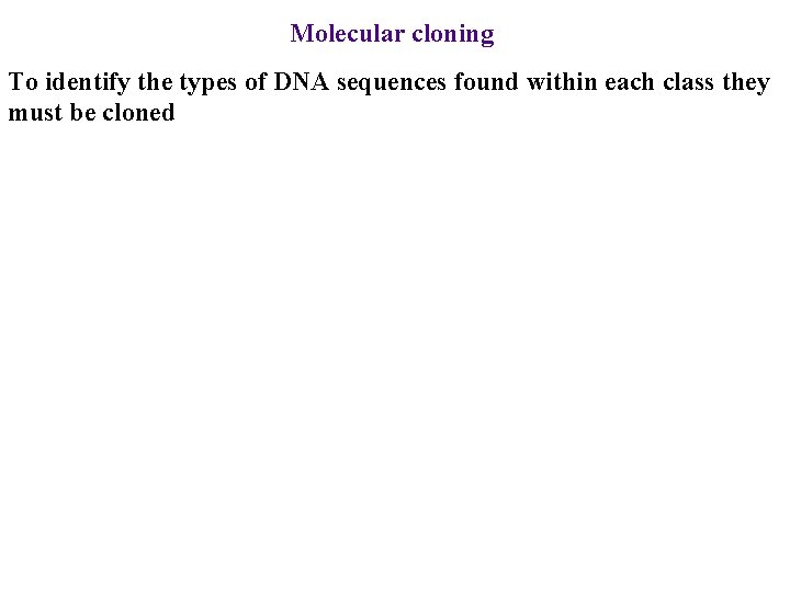 Molecular cloning To identify the types of DNA sequences found within each class they