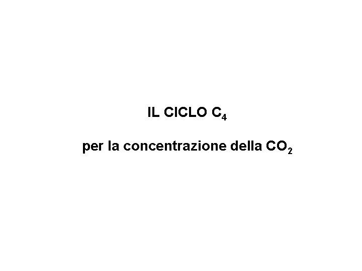 IL CICLO C 4 per la concentrazione della CO 2 