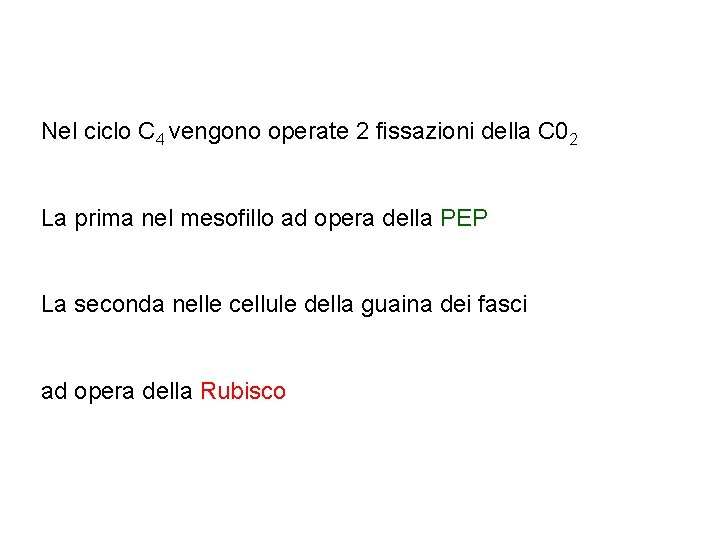 Nel ciclo C 4 vengono operate 2 fissazioni della C 02 La prima nel