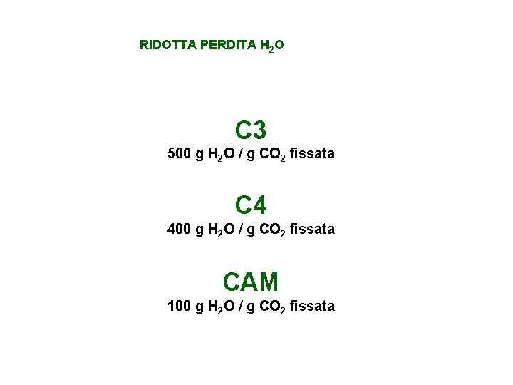 RIDOTTA PERDITA H 2 O C 3 500 g H 2 O / g