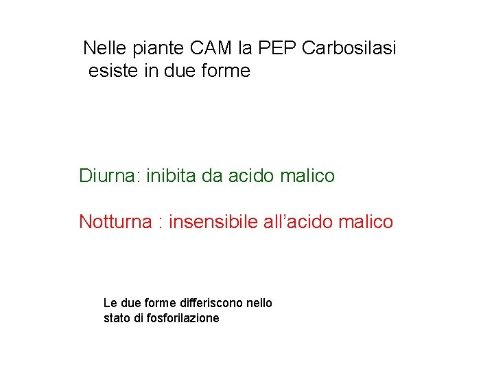 Nelle piante CAM la PEP Carbosilasi esiste in due forme Diurna: inibita da acido