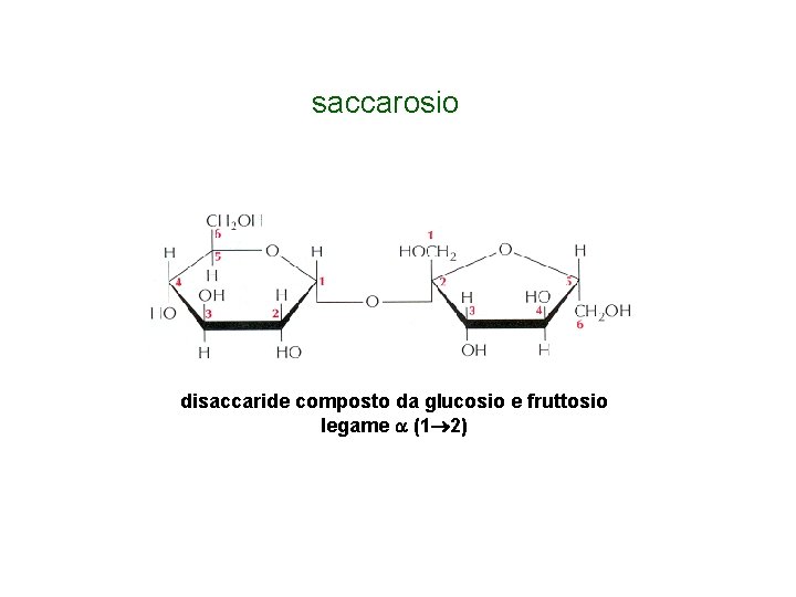 saccarosio disaccaride composto da glucosio e fruttosio legame (1 2) 