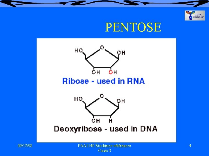 PENTOSE 09/17/98 PAA 1140 Biochimie vétérinaire Cours 3 4 