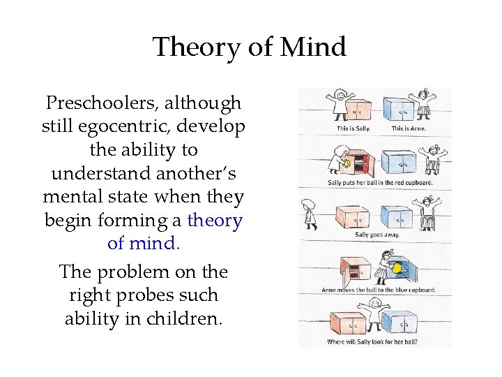 Theory of Mind Preschoolers, although still egocentric, develop the ability to understand another’s mental