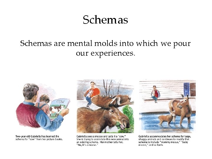 Schemas are mental molds into which we pour experiences. 