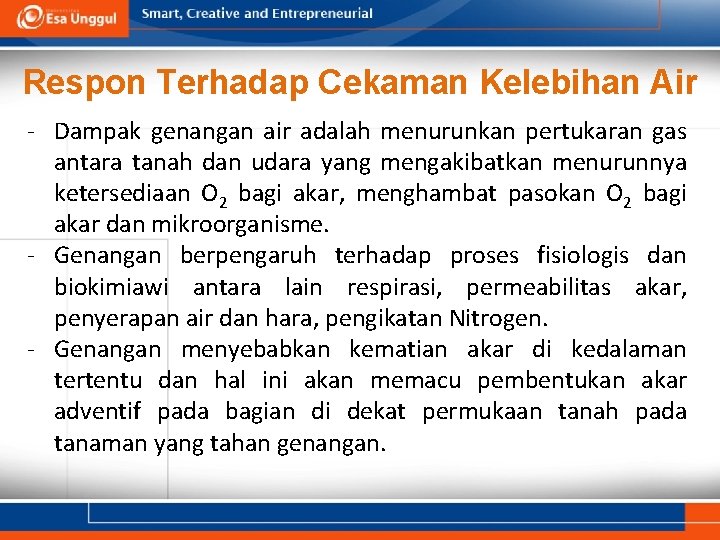 Respon Terhadap Cekaman Kelebihan Air - Dampak genangan air adalah menurunkan pertukaran gas antara