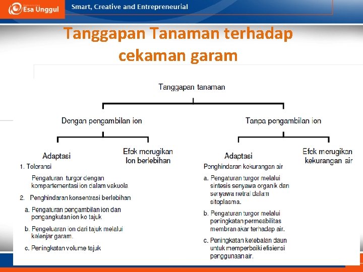 Tanggapan Tanaman terhadap cekaman garam 