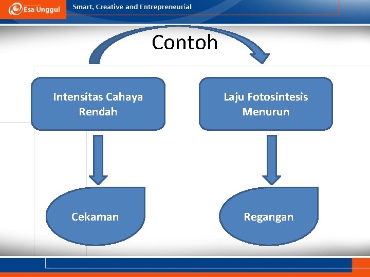 Contoh Intensitas Cahaya Rendah Laju Fotosintesis Menurun Cekaman Regangan 