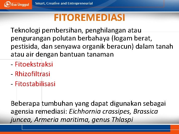 FITOREMEDIASI Teknologi pembersihan, penghilangan atau pengurangan polutan berbahaya (logam berat, pestisida, dan senyawa organik