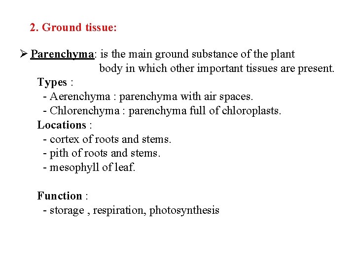 2. Ground tissue: Ø Parenchyma: is the main ground substance of the plant body