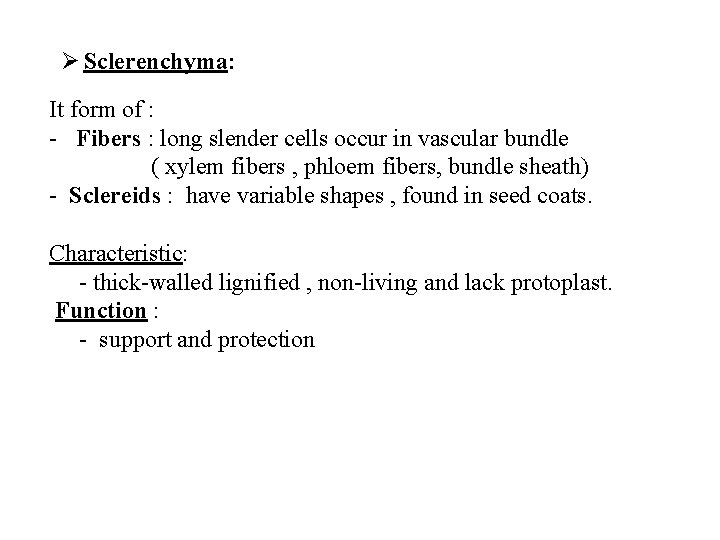 Ø Sclerenchyma: It form of : - Fibers : long slender cells occur in