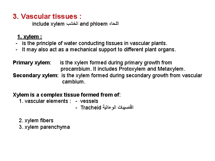 3. Vascular tissues : include xylem ﺍﻟﺨﺸﺐ and phloem ﺍﻟﻠﺤﺎﺀ 1. xylem : -