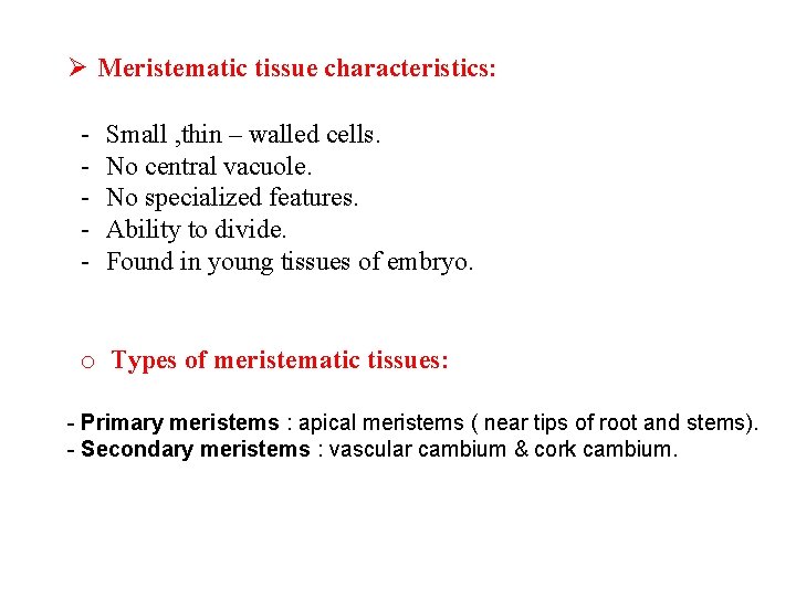 Ø Meristematic tissue characteristics: - Small , thin – walled cells. No central vacuole.
