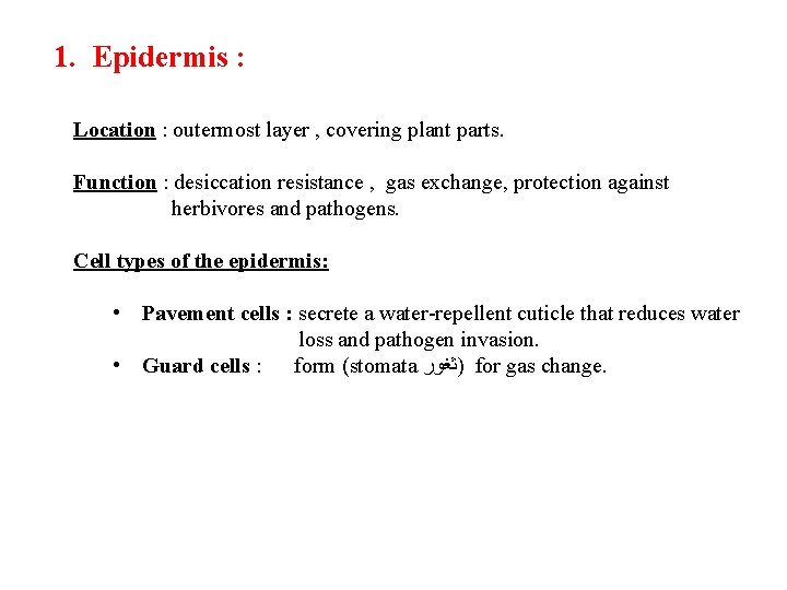 1. Epidermis : Location : outermost layer , covering plant parts. Function : desiccation