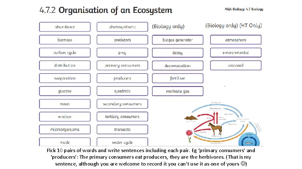 Pick 10 pairs of words and write sentences including each pair. Eg ‘primary consumers’