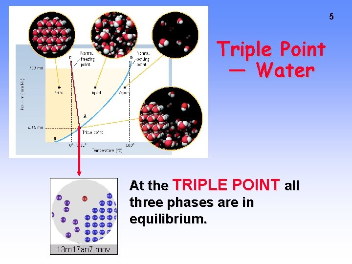 5 Triple Point — Water At the TRIPLE POINT all three phases are in