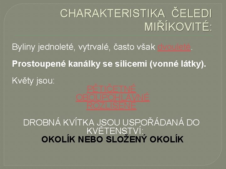 CHARAKTERISTIKA ČELEDI MIŘÍKOVITÉ: Byliny jednoleté, vytrvalé, často však dvouleté. Prostoupené kanálky se silicemi (vonné