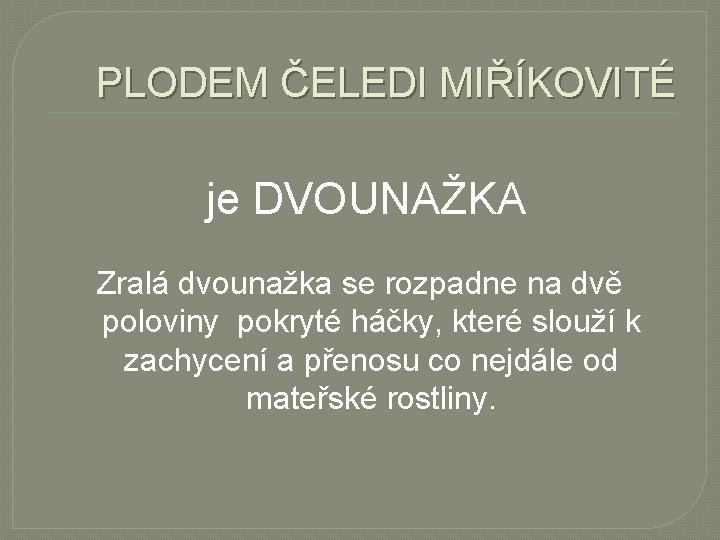 PLODEM ČELEDI MIŘÍKOVITÉ je DVOUNAŽKA Zralá dvounažka se rozpadne na dvě poloviny pokryté háčky,