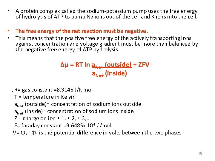  • A protein complex called the sodium-potassium pump uses the free energy of