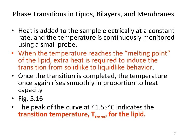 Phase Transitions in Lipids, Bilayers, and Membranes • Heat is added to the sample