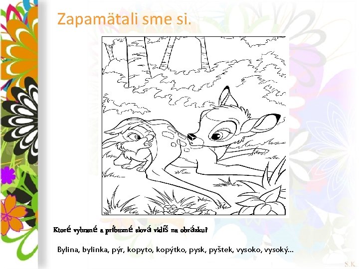 Zapamätali sme si. Ktoré vybrané a príbuzné slová vidíš na obrázku? Bylina, bylinka, pýr,