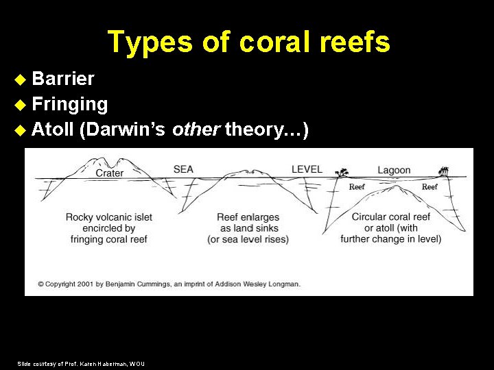 Types of coral reefs Barrier Fringing Atoll (Darwin’s other theory…) Slide courtesy of Prof.