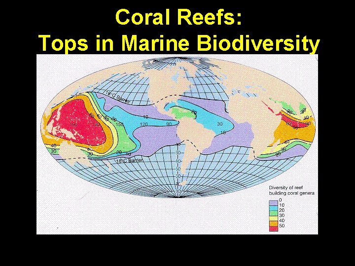 Coral Reefs: Tops in Marine Biodiversity 