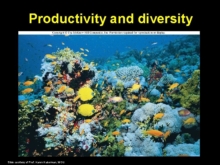 Productivity and diversity Slide courtesy of Prof. Karen Haberman, WOU 