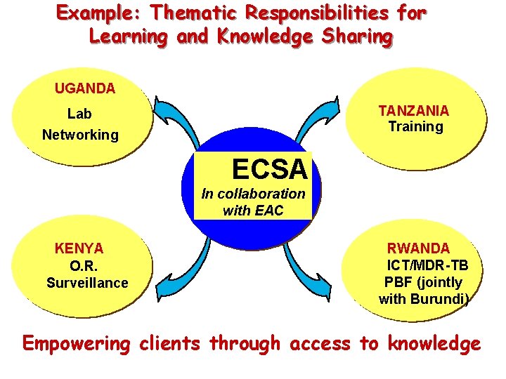 Example: Thematic Responsibilities for Learning and Knowledge Sharing UGANDA TANZANIA Training Lab Networking ECSA