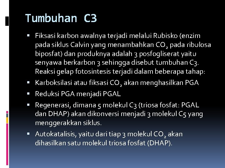 Tumbuhan C 3 Fiksasi karbon awalnya terjadi melalui Rubisko (enzim pada siklus Calvin yang