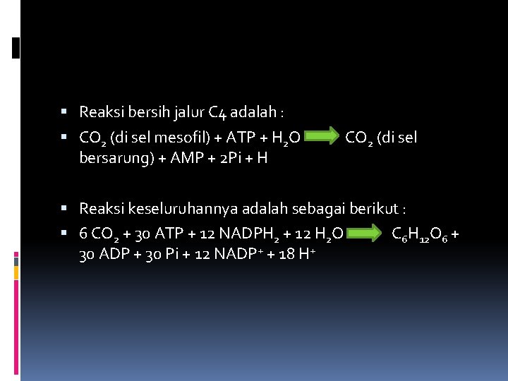  Reaksi bersih jalur C 4 adalah : CO 2 (di sel mesofil) +